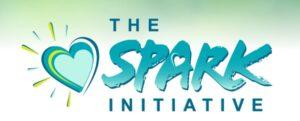 the-sparc-initiative